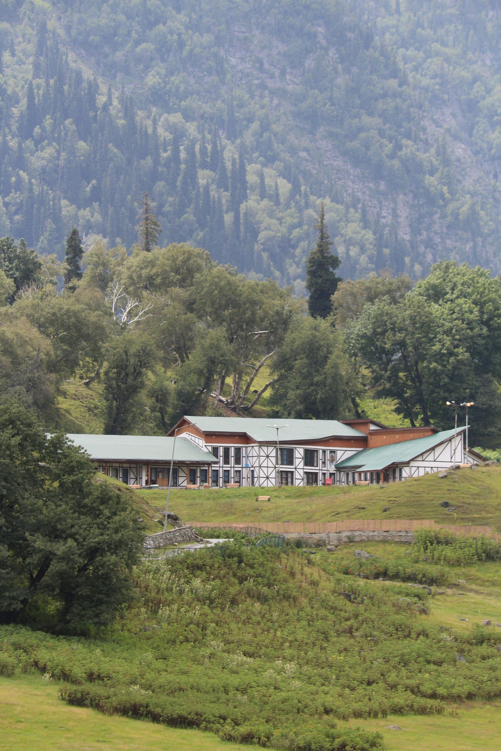 Exploring the Culinary Scene: Best Restaurants in Nuwara Eliya