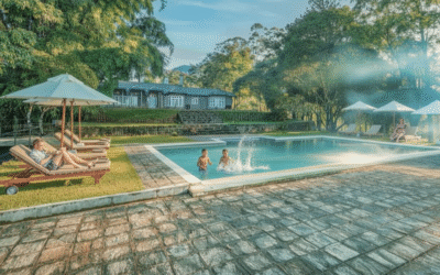 Stay in Style: Best Nuwara Eliya Hotels
